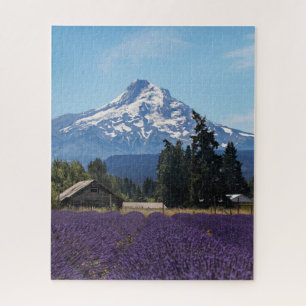 Mt Hood Lavender Fields
