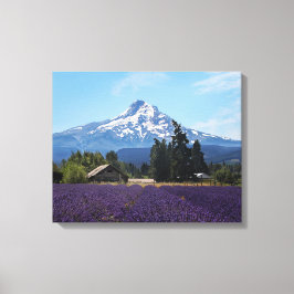 Mt Hood Lavender Fields Leinwanddruck