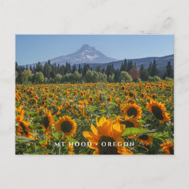 Mt Hood | Oregon Postkarte