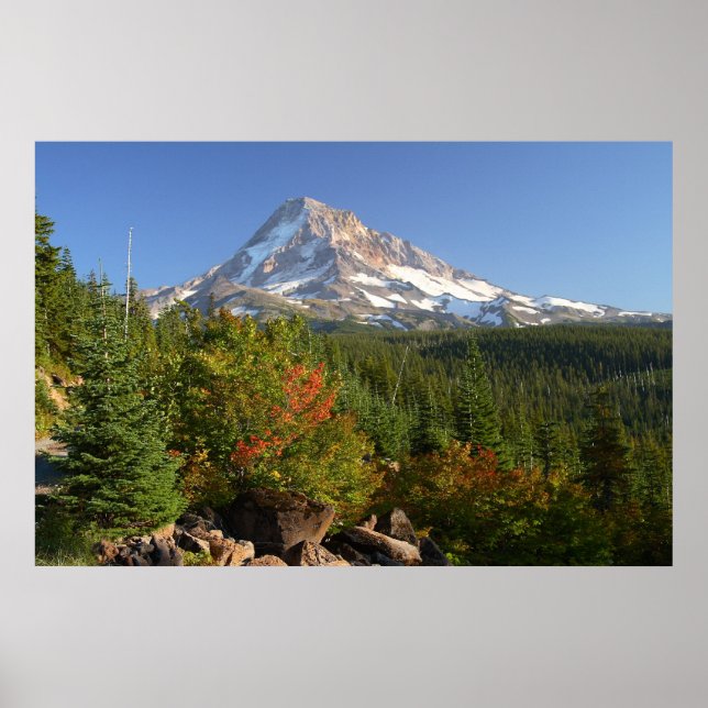 Mt. Hood von Vista Ridge Poster (Vorne)