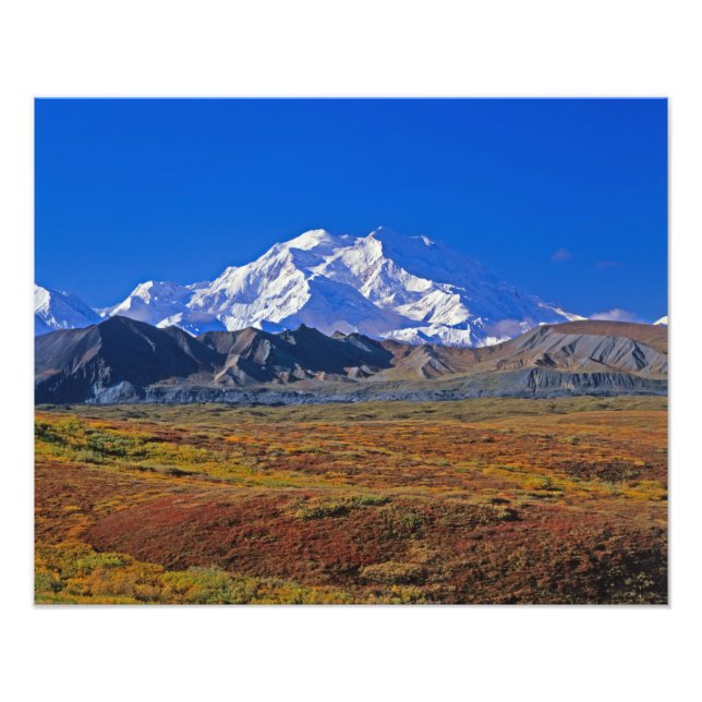 Mt. McKinley Denali National Park , Alaska. Fotodruck (Vorne)