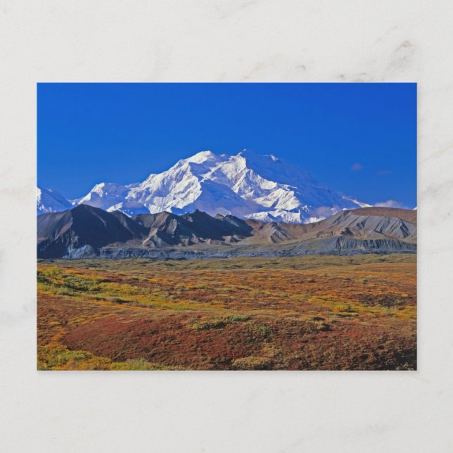 Mt. McKinley Denali National Park , Alaska. Postkarte (Vorderseite)