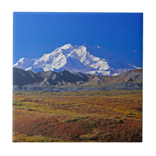 Mt. McKinley Denali Nationalpark , Alaska Fliese