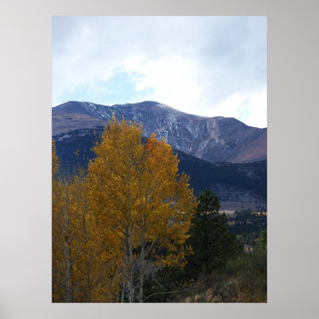 Mt Ouray Poster (Vorne)