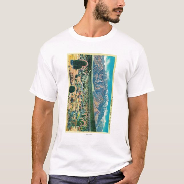 Mt. San Jacinto vom Garten des Teufels T-Shirt (Vorderseite)