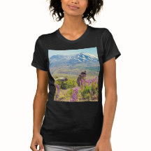 Mt. St. Helens