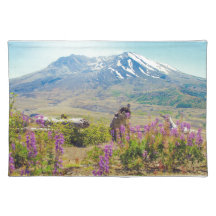 Mt. St. Helens