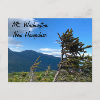 Mt. Washington, NH Postcard Postkarte
