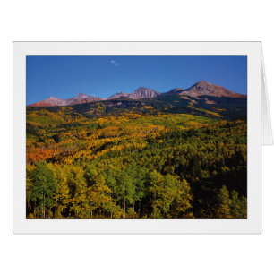 "Mt. Wilson - Aspen Tree Valley"