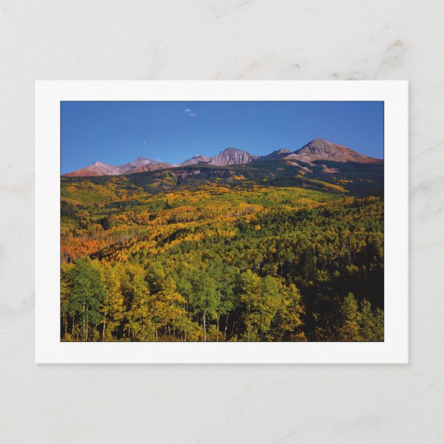 "Mt. Wilson - Aspen Tree Valley" Postkarte (Vorderseite)