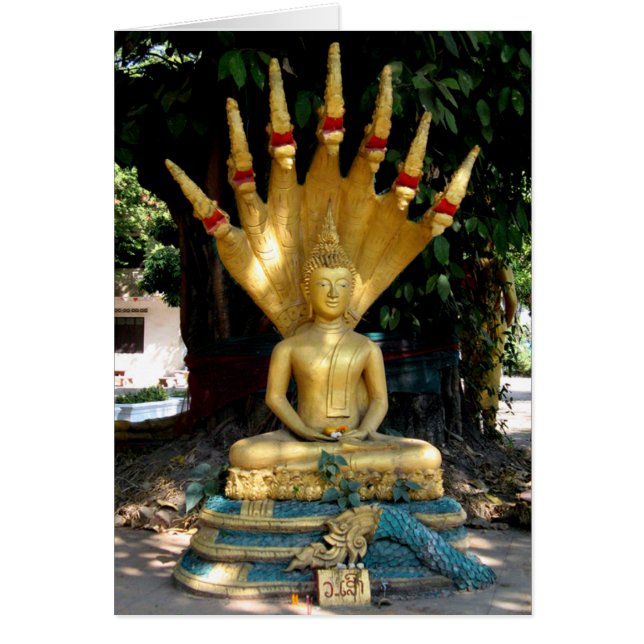 Mucalinda-Karte (Vorne)