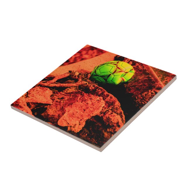 Mückenforscherin Fliese (Seite)