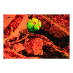 Mückenforscherin Fotodruck