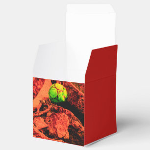 Mückenforscherin Geschenkschachtel
