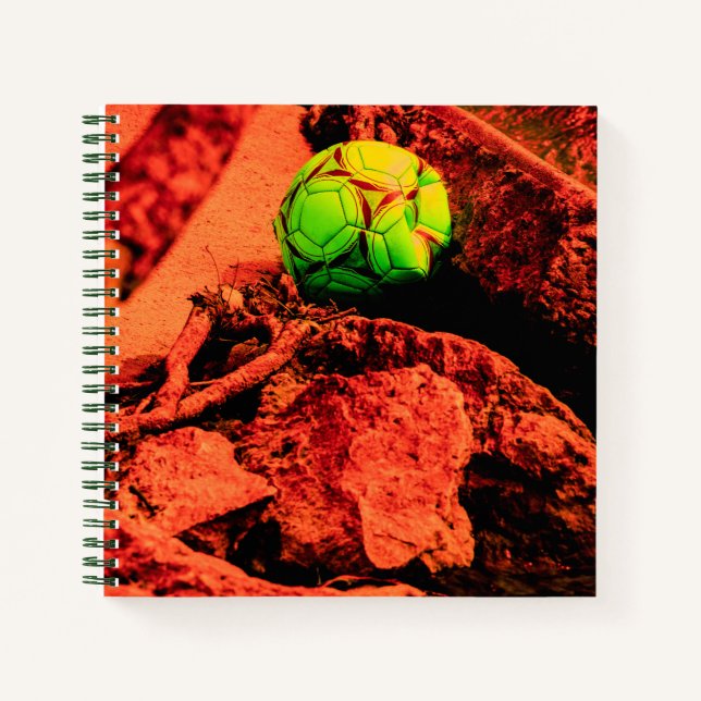 Mückenforscherin Notizbuch (Vorderseite)