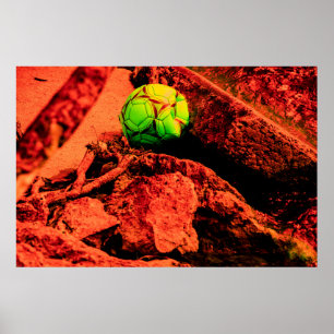 Mückenforscherin Poster