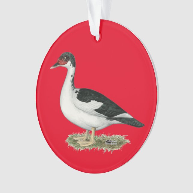 Mucovy Black Pied Duck Ornament (Vorderseite)