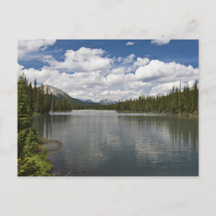 Mud Lake Postkarte