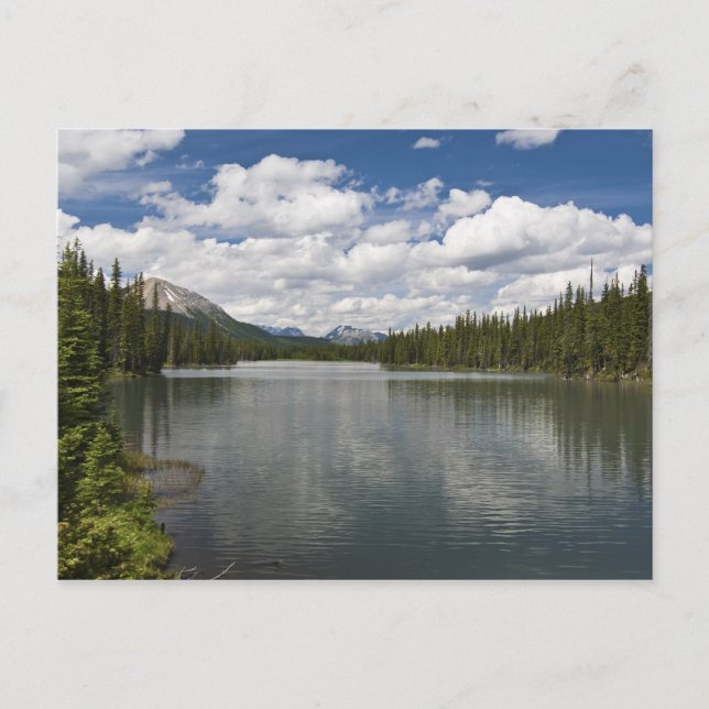 Mud Lake Postkarte (Vorderseite)