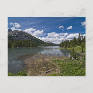 Mud Lake Postkarte