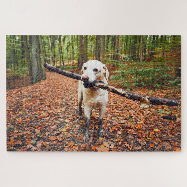 Muddy Dog im Herbst (Horizontal)