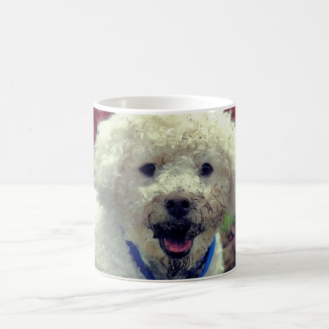 Muddy Faced Poodle Funny Dog Personalisiert Kaffeetasse (Mittel)