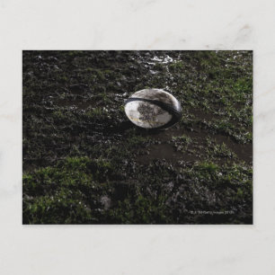 Muddy Rugby Ball sitzend auf einem zerkaut Gras Postkarte