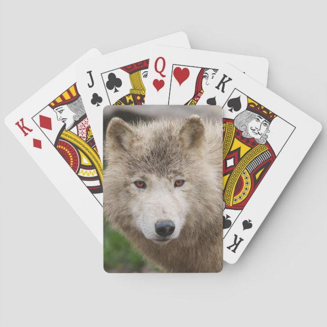 Muddy White Wolf Spielkarten (Rückseite)