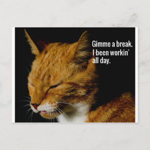 Müde Katzen Design - "Gimme eine Pause." Postkarte