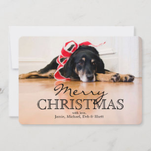 Müder Hund mit Weihnachtsbändern Feiertagskarte