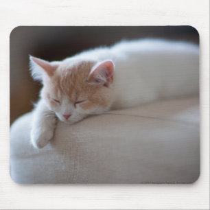 Müdes beige und weißes Kätzchen Mousepad