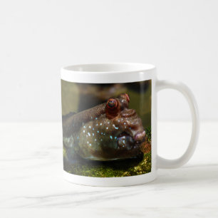 Mudskipper amphibische Fische Oxudercinae Kaffeetasse