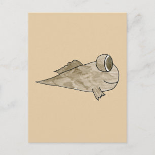 Mudskipper Fisch. Postkarte