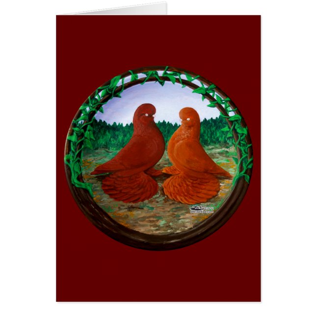 Muffed Tumbler Tauben2 (Vorne)