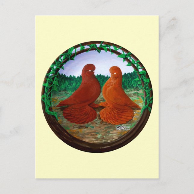 Muffed Tumbler Tauben2 Postkarte (Vorderseite)