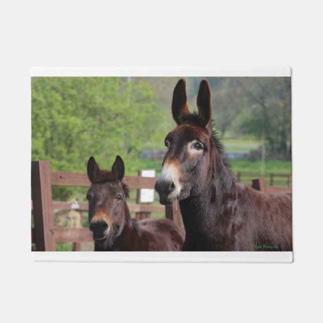 Muffin-u. Coco-Tür-Matte Fußmatte (Vorderseite)