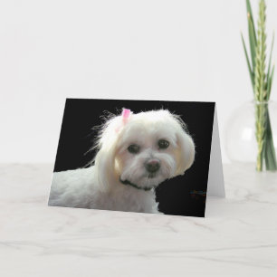 Muffys rosa Bogen Karte