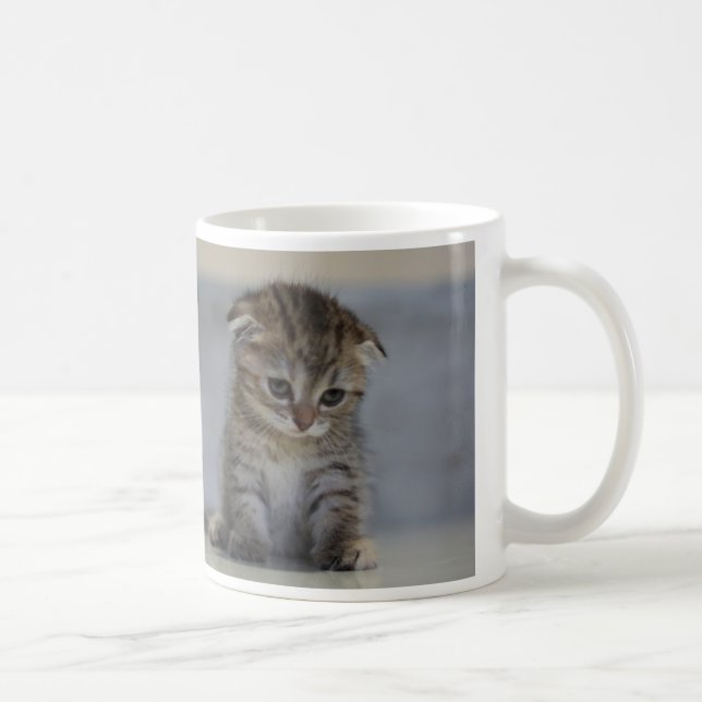 MUG スコティッシュフォールド子猫　マグカップ (Droite)