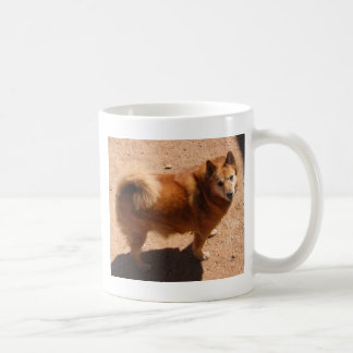 Mug 031806 Copper.jpg