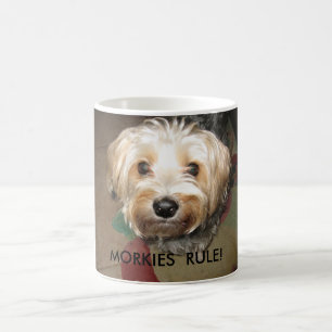 MUG 14 AVRIL. 2008 043, RÈGLE DE MORKIES !