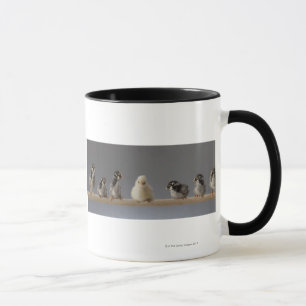 Mug 7 poulets d'animal familier de bébé sur une perche