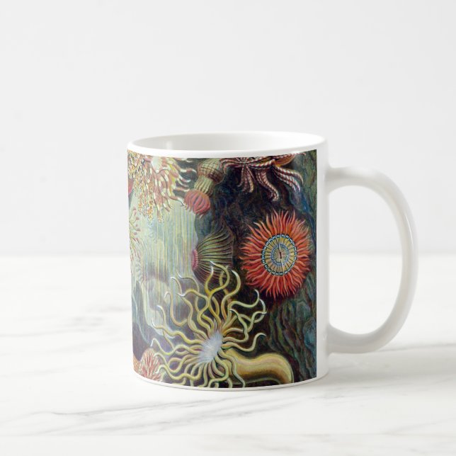 Mug Actinie d'Ernst Haeckel Actiniaea (Droite)