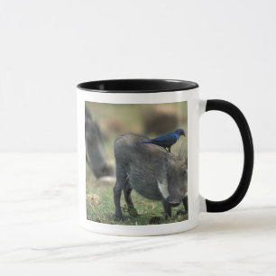 Mug Afrique du Sud, Pilanesburg GR, Phacochère