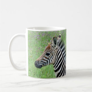 Mug Afrique Ngorongoro Baby Zebra