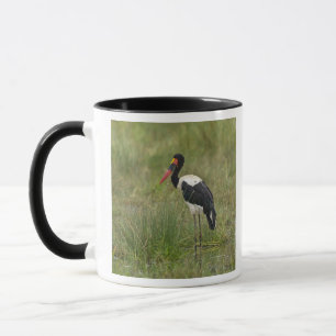 Mug Afrique. Tanzanie. Cigogne à Saddle-billed mâle