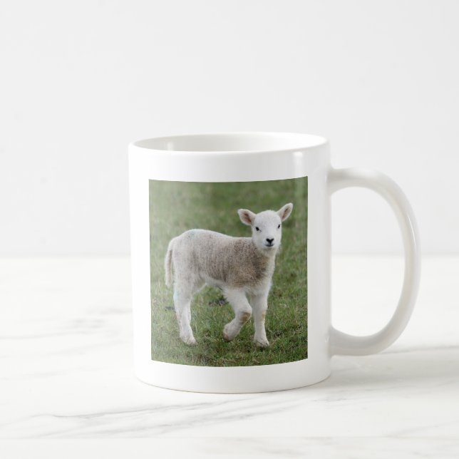 MUG AGNEAU (Droite)