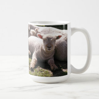 Mug Agneaux endormis