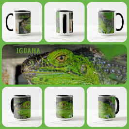 Mug Agrandissement Iguana Vert Photographie personnali