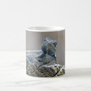 Mug Alligator du ventre bleu Lizard