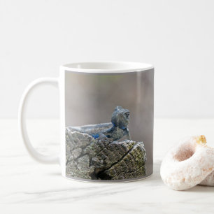 Mug Alligator du ventre bleu Lizard